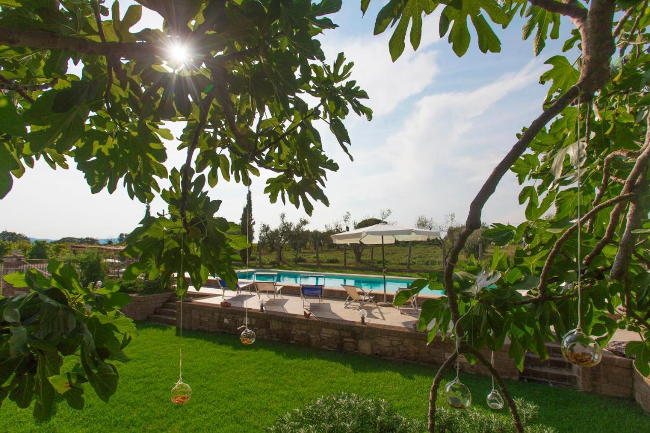 Ficolivo Bed and Breakfast Πιτιλιάνο Εξωτερικό φωτογραφία